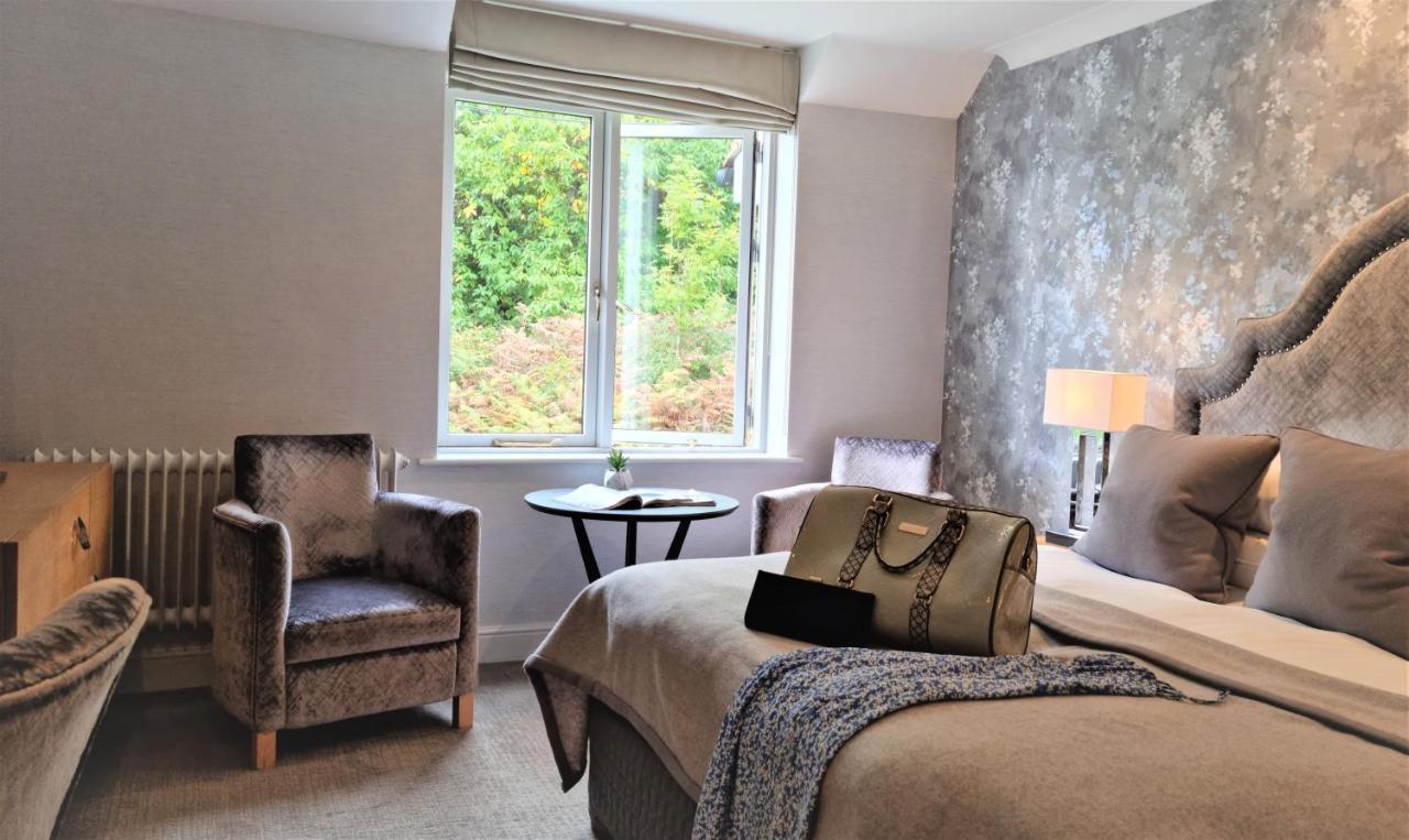 Comfy King Room
